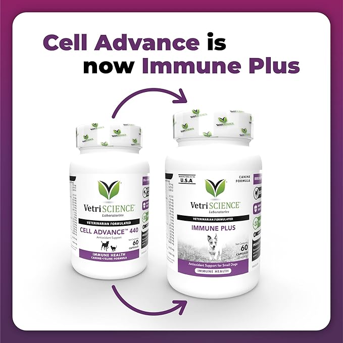 VetriScience Immunity Health Easy-Open Capsules, Immune Plus Supplement for Small Breed Dogs, Cell Advance Immune and Allergy Support with Antioxidants, Hypoallergenic Formula, 120 Count