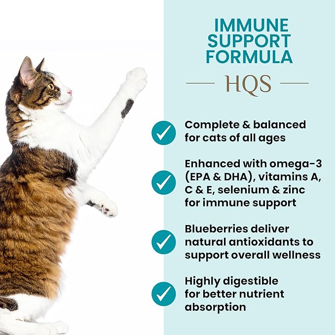 Almo Nature Supportive Formulas Immune Support Formula HQS Shredded Chicken & Blueberry in Gravy Wet Cat Food, 1.77-oz can, case of 6