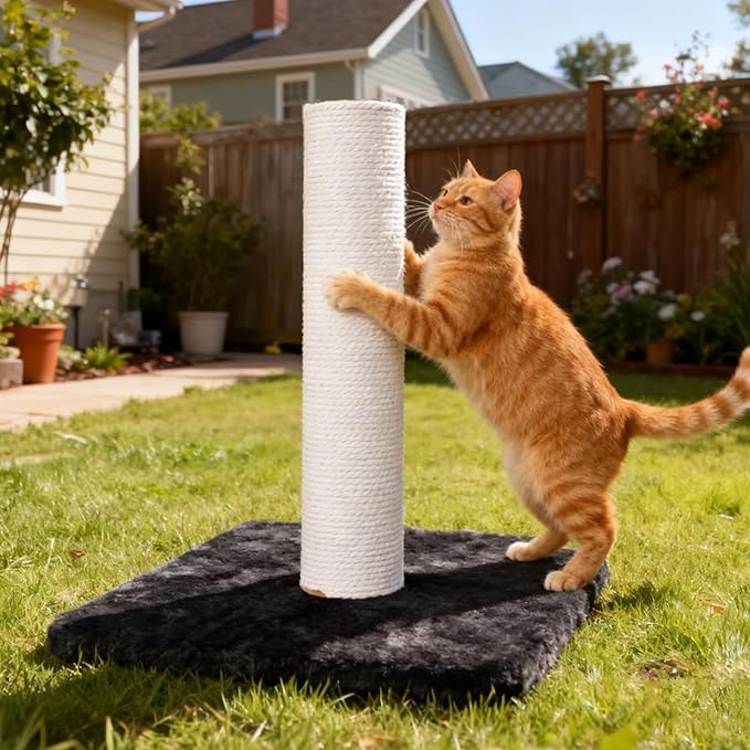 Cat Scratching Post Replacement Base, Cat Tree Replacement Parts, Foldable Base Covered with Soft Plush, Suitable for M8 Screws Cat Tree Scratcher Indoor for Kittens (Darkgrey)