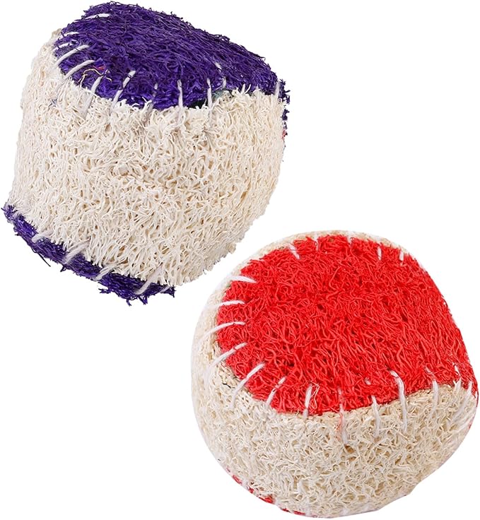 BESPORTBLE 2pcs Natural Loofah Dog Chew Tennis Ball Set for Puppy Training Interactive Pet Chew Sturdy Ball Supplies for Dogs Random Color