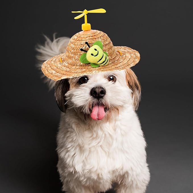 Beavorty Pet Straw Hat Insect Pattern Woven Knitted Cap Large Size Photo Props for Dogs Funny Decorative Pet Supplies for Outdoor and Home Use