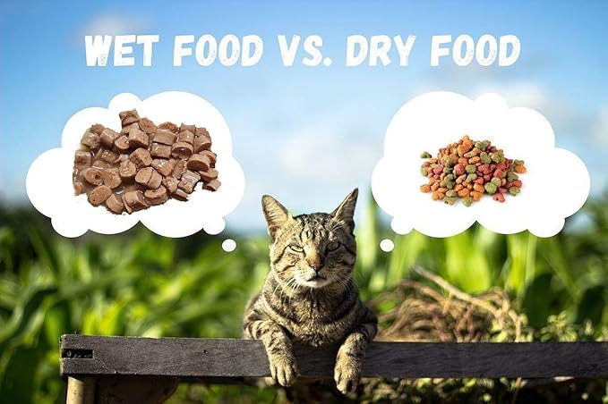 Cats Premium Wet Food 85g Pouch — Moist, Soft Cat Food Mixer, Topper and Rotational Meal (4-Pack, Chicken and Tuna)