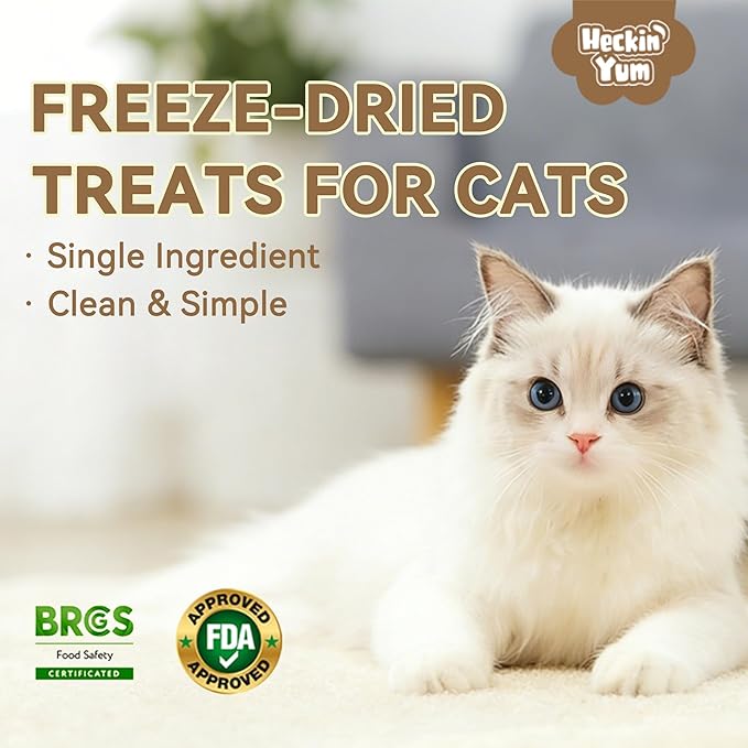 Freeze-Dried Wild-Caught Salmon Cat Treats for Skin & Coat Health, Single Ingredient High-Value Reward Snack for Cats, Grain & Gluten Free, 4 oz