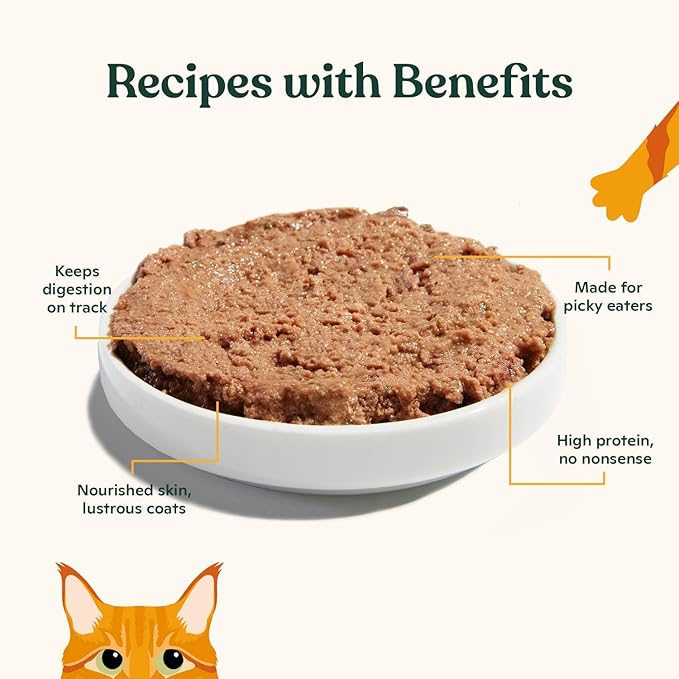Made by Nacho Premium Wet Cat Food Grain-Free Pate Cans (Chicken and Herring - 6 Pack, 5.5 Ounce)