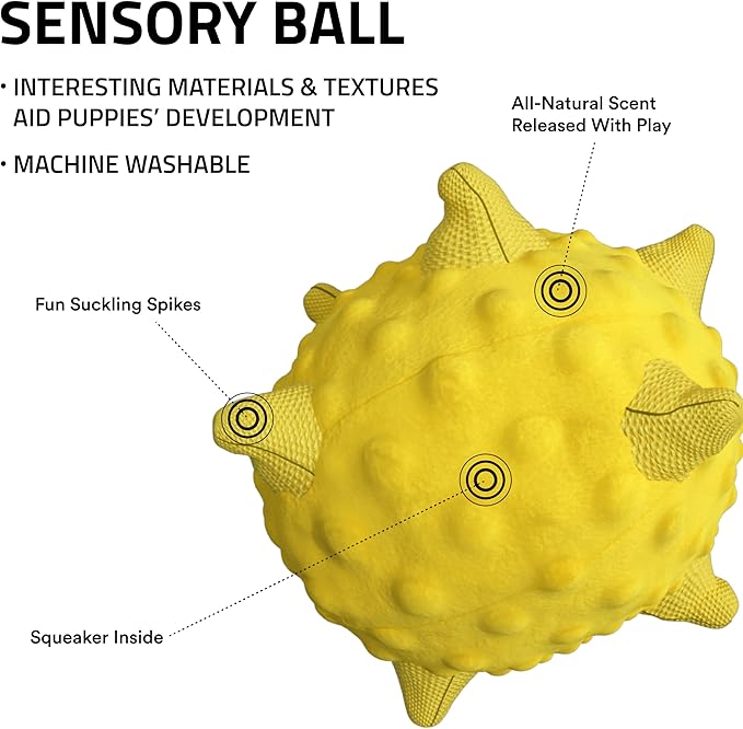 Playology Dog Toys | Puppy Toy Plush Sensory Ball for Dogs and Puppies | Jumbo Chicken Scented Toy - Easy to Clean and Made from Non Toxic Materials