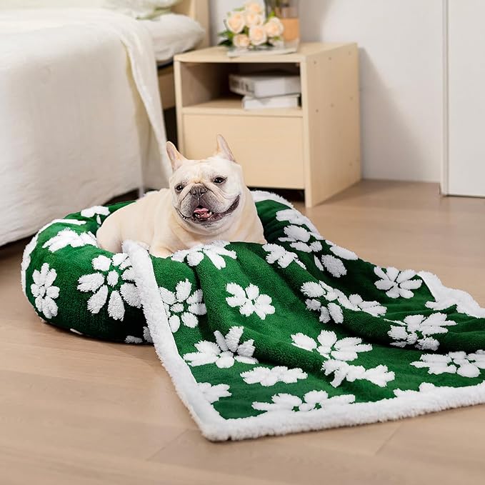 Donut Dog Beds for Small Dogs, Calming Round Cat Beds for Indoor Cats, Cute 3D Textured Flower Pet Bed with Removable Washable Cover and Anti-Slip Bottom（Green，20"）