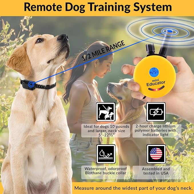 ET-300 Mini Educator E-Collar Humane Dog Training Collar with Remote & Night Light–100 Levels Gentle Tapping Stimulation, Waterproof & Rechargeable–1/2 Mile Range–For 1 Small to Medium Dog–Yellow