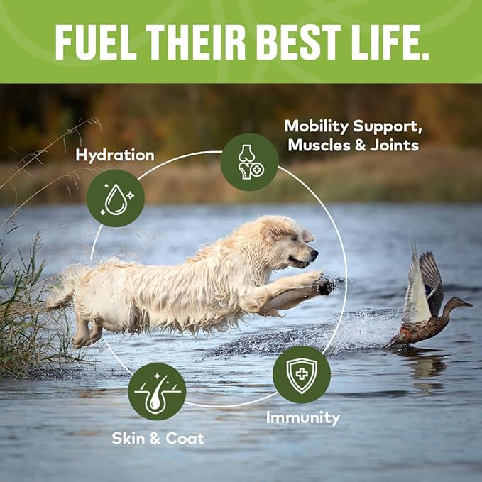 Beef Mobility Support Bone Broth Concentrate for Dogs - Collagen Protein Supplement - Boosted w/Amino Acids, Glucosamine, and Chondroitin - Dog Food Topper - Human Grade (12 oz, 20 Servings)