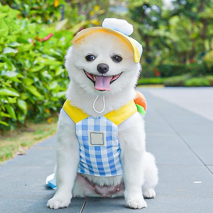 Harness for Dogs - Pet Accessories with Hat, Vest Harness with Training Leash for Dog, for Puppy Running Outdoors Shopping Daily Walks and Outdoor Activities