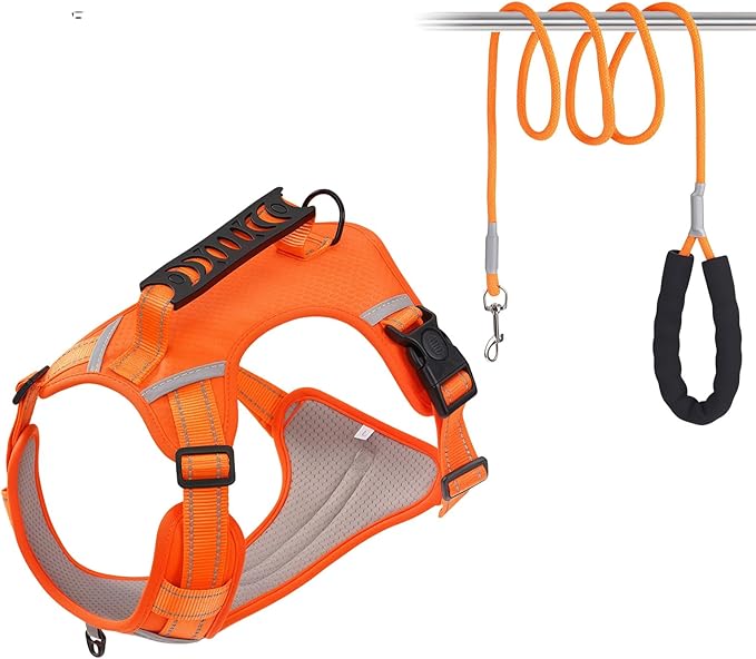 Dog Vest Harnesses Pet Strong Training Walking Swimming Supplies Soft Handle Training Vest Dog Vests for Small Dogs