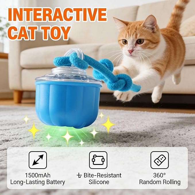 Smart Interactive Cats Toy Ball, USB Rechargeable Automatic Rolling Moving Ball for for Small & Medium Dogs, Durable Cat Teaser Toy with Chewing Rope, Indoor Exercise Toy for Kittens Cats