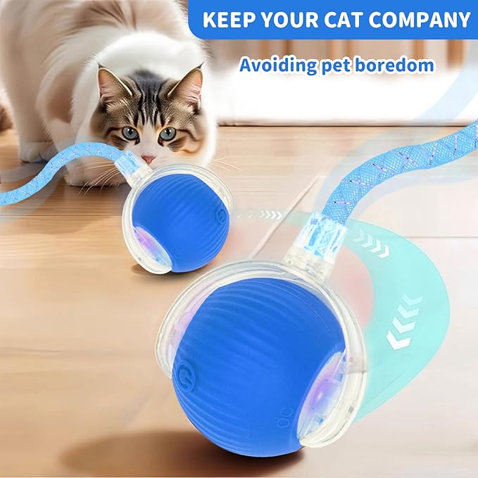 Interactive Cat Toys for Indoor Cats Smart Automatic Ball Rolling for Bored Kitten Pet Upgraded Speedy Moving Chase Dogs Toy Valentine's Day Gift Blue Dragonfly