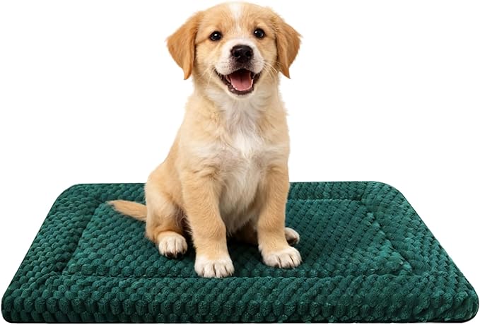 Dog Bed Mat,Reversible & Ultra Soft Kennel Pad-Machine Washable Pet Bed for Dogs & Cats-All-Weather Crate Liner for Crates,Carriers & Travel (Dark Green, 24" L x 18" W x 1.5" Th)