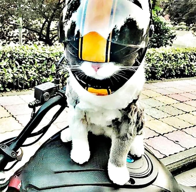Pet Motorcycle Helmet Dog/Cat Full Face Motorcycle Helmet Outdoor Motorcycle Bike Riding Helmet Hat for Cat Dog Doggie Puppy Kitten Pet Supplies Racing Car Fan Collectible Small Gift (Black-Yellow)