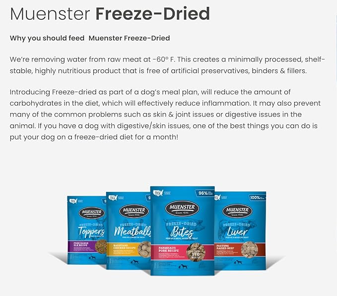 Muenster Freeze Dried Pumpkin Meatball Dog Treats 4 oz - Grain Free, Made in USA