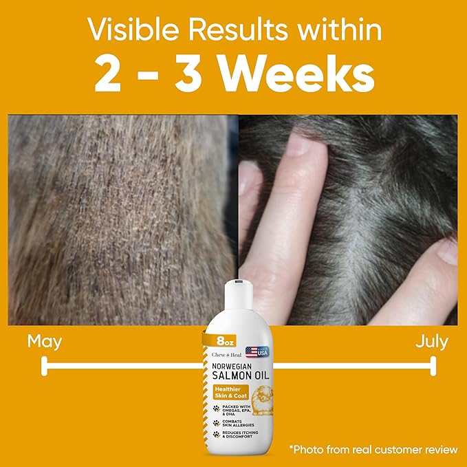 Salmon Oil for Dogs - Premium Fish Oil for Skin and Coat Health - Omega 3 Supplement - Supports Itchy Skin - 8 oz Liquid - Norwegian Dog Salmon Oil - Essential Dog Supplement