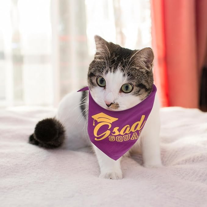 Graduation Dog Bandana Scarf 25-48cm Neck Size Decorative Puppy and Cat Pet Bandana for Photo Shoot and Party Supplies