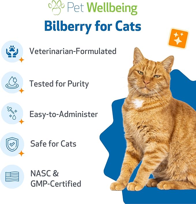 Pet Wellbeing Bilberry for Cats - Eye & Vision Support with Antioxidants, Capillary Health, Retinal Support - NASC Certified & Vet-Formulated - 2 oz Liquid