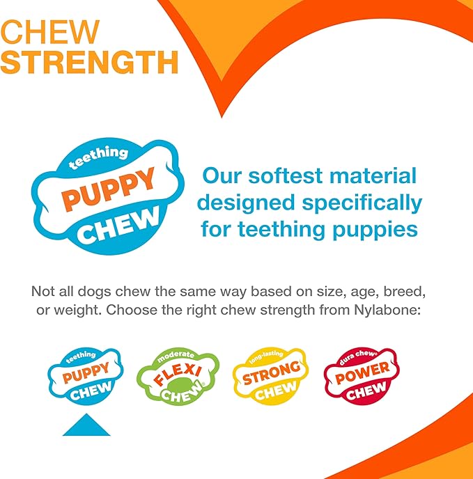 Nylabone Puppy Chew Key Ring Toy, Toys for Teething Puppies, Multi Color, Bacon Flavor, X-Small - Up to 15 lbs, 1 Count