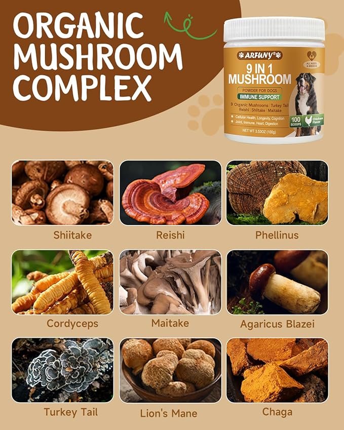 Cat Lysine Drops & 9 in 1 Dog Mushroom Powder