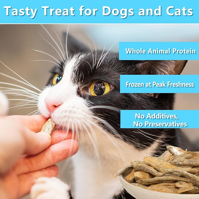 Minnows - 4 oz Freeze Dried Minnows for Cats & Dogs - 100% Natural Premium Cat Treat, Dog Treat (4 oz)
