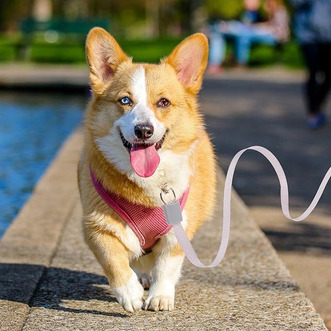 Retractable Dog Leash Nylon Pet Supply Automatic Telescopic Mini Leash for Small Dogs Walking Training Random Color
