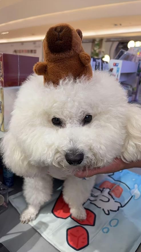Dog Plush Toy with Squeak , Funny Capybara Stuffing Plush Dogs Chew Toy Bundle for Small Medium Large Dogs, Durable Chew Toy, Good for Dental Health Keep, Them Busy Best Birthday Gift (Capybara)