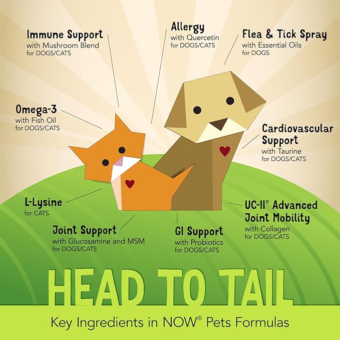 Now Pet Health,L-Lysine Supplement,Powder,Formulated for Cats,NASC Certified,8-Ounce,(Pack of 2)