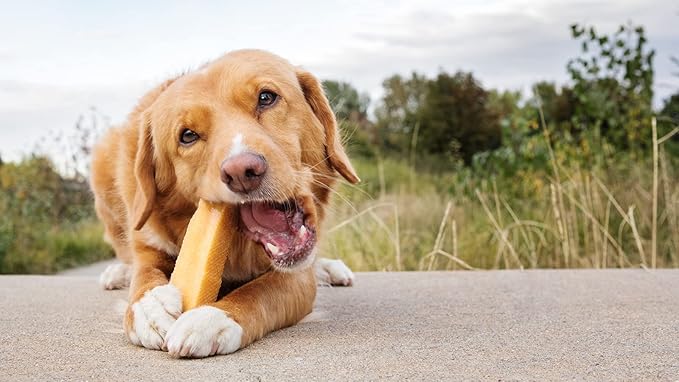 peaksNpaws Himalayan Yak Chews, High Protein Dog Treat for Aggressive Chewers, Natural, Long Lasting, Lactose Free Chew Stick for Pet Under 35 lbs, 3 Medium Treats, 100% Eco-Friendly Packaging