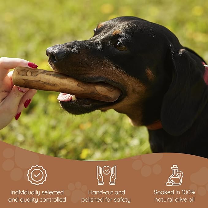Wildfang® Olive Wood Chewing Sticks for Dogs, Medium - Tough Chew Toys for Aggressive Chewers, Puppy Chew Toys for Teething, Training for Chewing Muscles, Olive Wood Stick for Dog (33-55lbs), 3pack