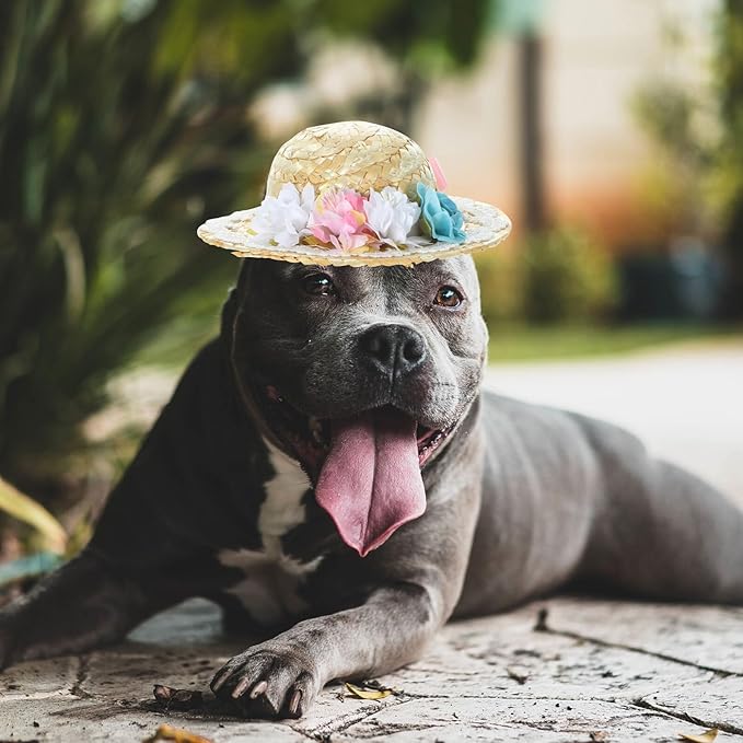 Pet Summer Straw Hat with Bowknot, Wear-Resistant Puppy Cosplay Hat, Decorative Small Size Outdoor Dog Accessory for Photo Props and Pet Supplies