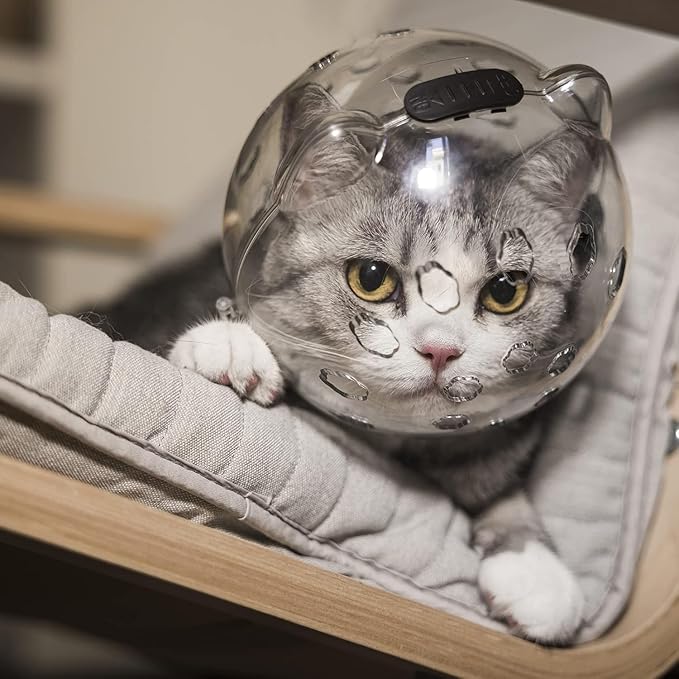 Bubble Muzzle and Boots for Cat Grooming Nail Trimming Cat Astronaut Helmet Grooming Mask with Anti Bite Breathable Silicone Paw Covers (L)