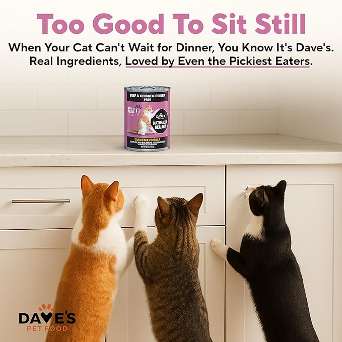 Dave's Pet Food Grain Free Wet Cat Food Pate (Beef & Chicken), Made in USA Naturally Healthy Canned, 12.5 oz Cans (12 Pack)