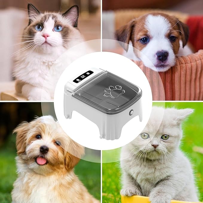 Automatic Cat Feeder - Programmable Pet Feeding Bowl, Timed Food Dispenser Machine | Electric Dry Food Feeder with Sensor Function for Small Dog Daily Meals and Indoor Animal Care