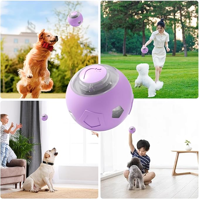 Genérico Moving Dog Ball - Electric Pet Toy | Rechargeable Quiet Dog and Cat Ball with LED Lights For Puppies Cats Aggressive Chewers Indoor Games Interactive Pet Supplies