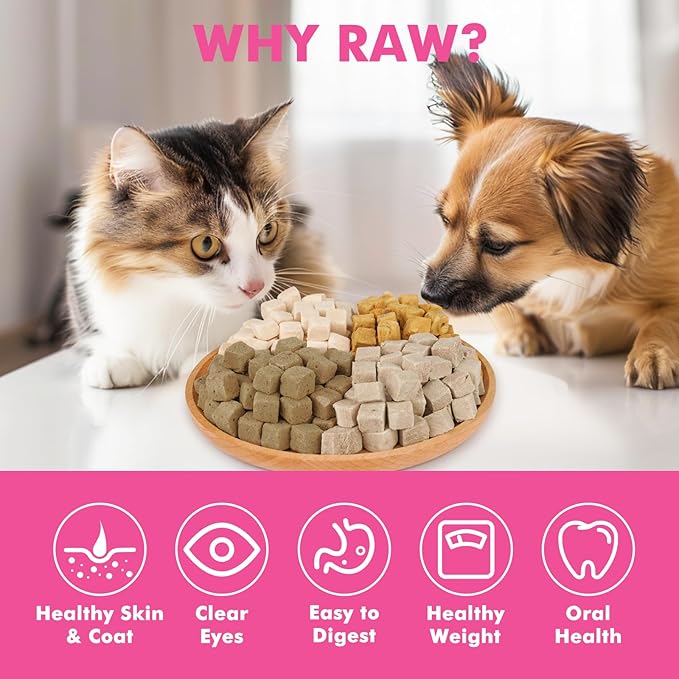 Freeze Dried Dog & Cat Treats – Single Ingredient Salmon, High Protein Training Treats & Food Topper, 10.6 oz