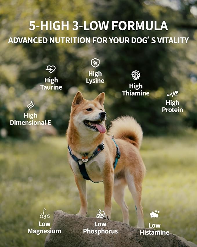 Freeze Dried Dog Treats, 94% Animal Origin Freeze Dried Raw Food, High Protein Healthy Food Toppers & Meal Mixers for Dog (Duck Recipe - 0.7Ounce)