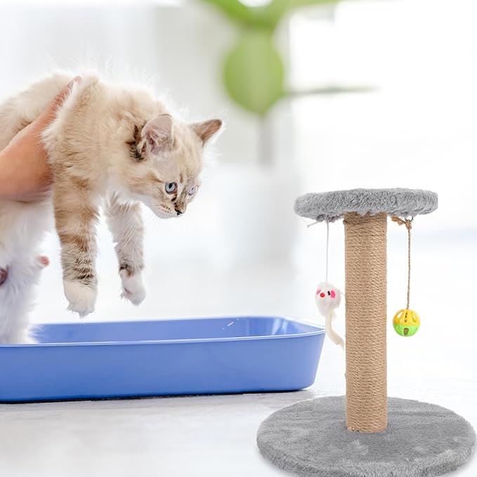PRETYZOOM Multifunctional Small Cat Scratching Post Indoor Climbing Frame with Wear-Resistant Sisal Gray Wooden Base for Kittens and Adult Cats