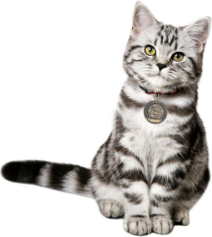 Abaodam 3pcs Vintage Zinc Alloy Pet Id Tags for Dogs Pomeranian Hanging Pendant Collar Accessories Retro Style Dog Supply