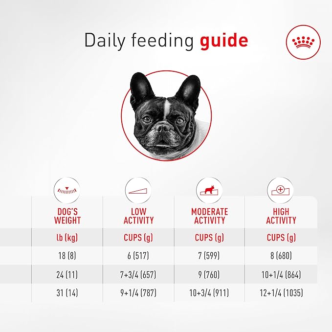 Royal Canin Breed Health Nutrition French Bulldog Wet Dog Food for Adult Dogs, Loaf Wet Food for French Bulldogs 12 Months+, Supports Digestive Health and Bone & Joint Health, 3 oz can