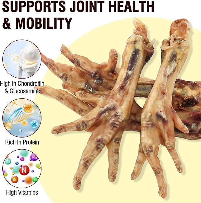 Dehydrated Chicken Feet Dog Treats Organic Nail-Free High Protein No Addictives Single Ingredient Paws All Natural Dog Chews & Snacks