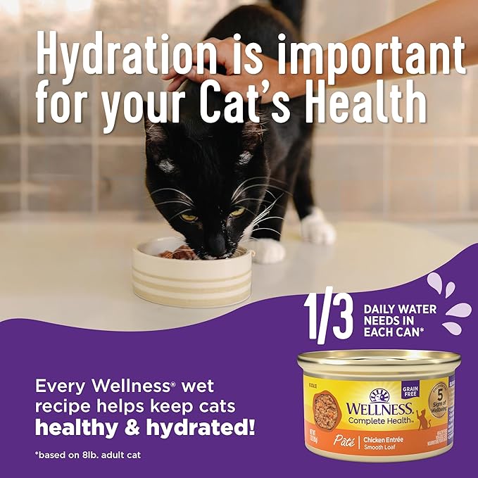 Wellness Complete Health Gravy Adult Wet Cat Food, Natural, Protein-Rich, Grain Free, 5.5 Ounce , 12 Pack, (Chicken Dinner)