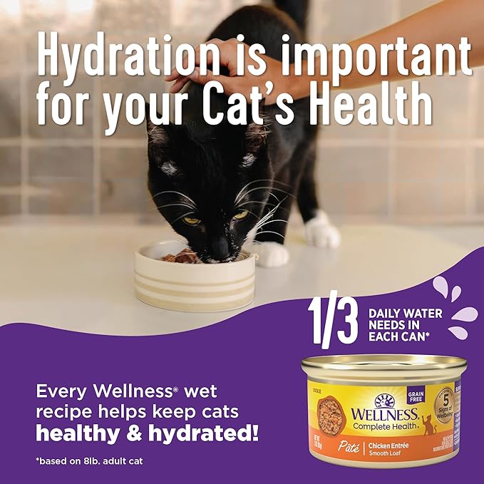 Wellness Complete Health Grilled, Adult Wet Cat Food, Natural, Protein-Rich, Grain-Free, Canned, 3 Ounce, 12 Pack, (Turkey and Turkey Liver Dinner Recipe)