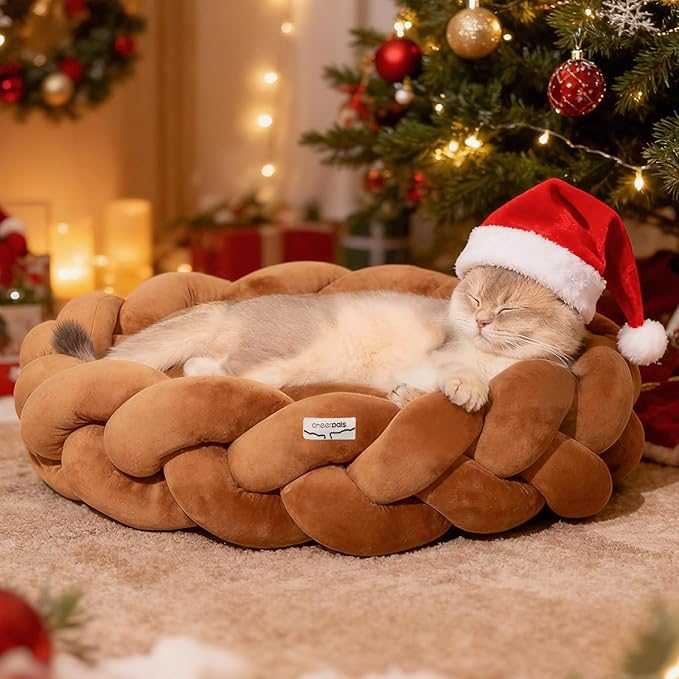 CHEERPALS Weave Cat Bed for Indoor Cats,Cute Pet Bed with Washable Cushion Fluffy Kitty Bed for Small Dog(Caramel)