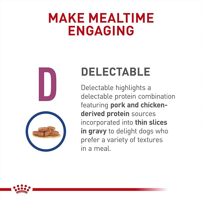 Royal Canin Veterinary Diet Canine Renal Support D Adult Thin Slices in Gravy Dog Food, 13 oz (Pack of 24)
