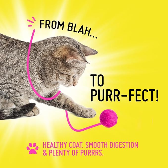 Koby Cat Probiotics | Daily Digestive Support for Sensitive Cats | Helps Loose Stool & Upset Stomach | Certified Organic | Vet Preferred, Clinical Dose | Easy-to-Use Powder