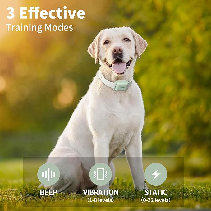 PATPET Dog Training Collar - IPX7 Waterproof Static Collar for 8-100lbs Small Medium Large Dogs, 1800ft Rechargeable Dog Trainer, 3 Safe Modes, Green