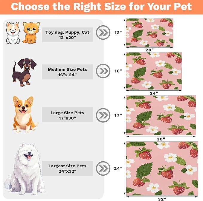 Strawberry Fruit Dog Food Mat for Floors Absorbent Dog Bowl Mat for Food and Water Dispenser Quick Dry Cat Food Placemat Pet Supplies 16" x 24", Spring Floral