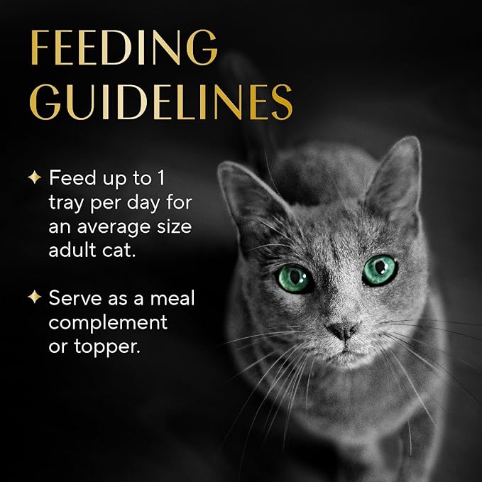 Sheba Selections Filets in Broth, Adult Cat Food Wet Recipe, Meal Complement, Wet Cat Food Variety Pack, Chicken & Shrimp Recipe, 1.3 oz. Cups, 12 Count
