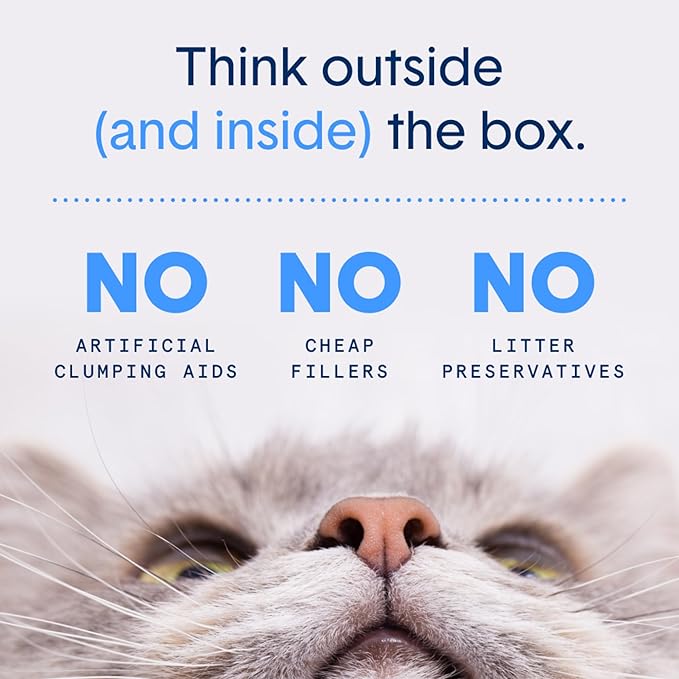 Boxie® Unscented 30 Day Natural Odor Control Cat Litter, 6.5lb Lightweight Plant Based Kitty Litter